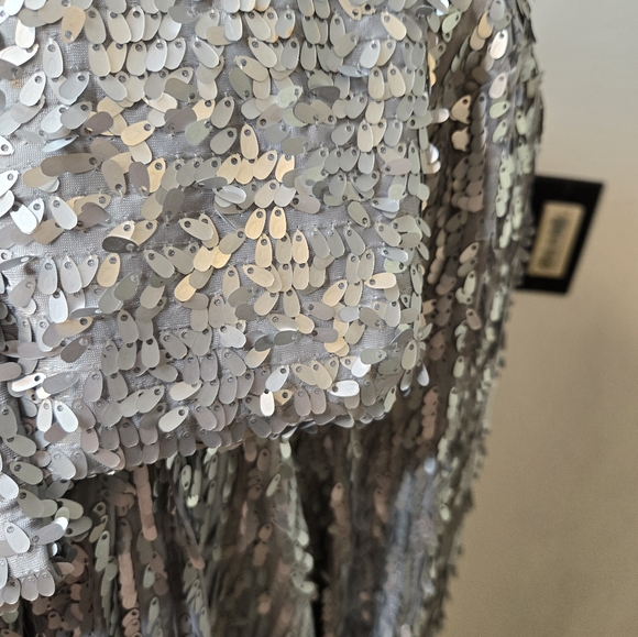 Silver coat - Picture 2 of 5